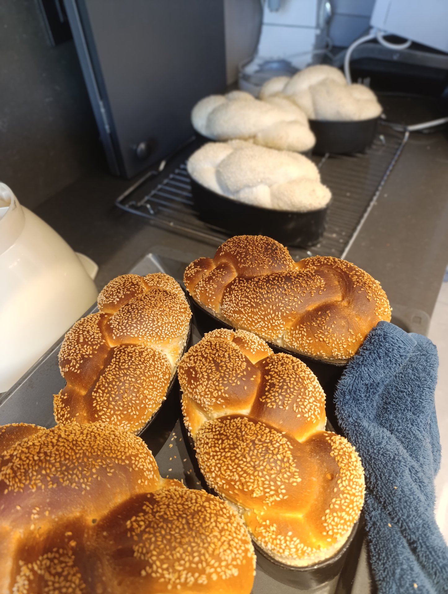 חלות קריספיות ונמסות